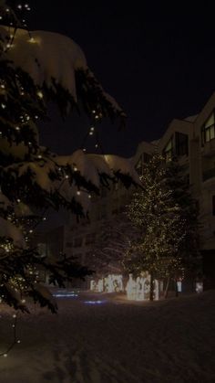 christmas lights are on the trees in front of an apartment building at night with snow