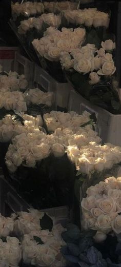 white roses are arranged on display at a flower shop