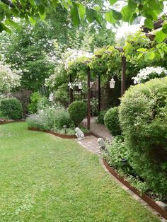 a garden with lots of green grass and trees