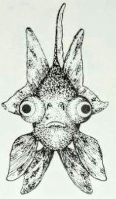 a black and white drawing of a fish with big eyes on it's head