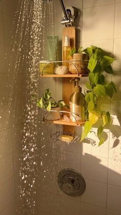 a shower head with water running from it and plants growing on the shelves above it