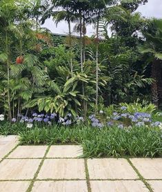 a garden with lots of trees and plants