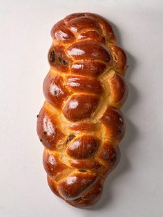 a piece of bread that is shaped like a caterpillar on a white surface