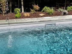 an empty swimming pool surrounded by trees and plants with blue water in the foreground