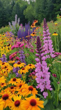 a field full of different colored flowers next to trees