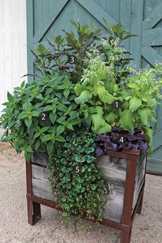 a wooden planter filled with lots of green plants