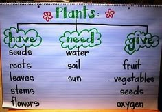 a white board with words and pictures on it that say plants have seeds, water, fruit, vegetables, and flowers