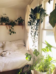 a bed sitting next to a window covered in lots of potted plant's