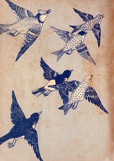 four birds flying in the air with one bird on its back and two are blue