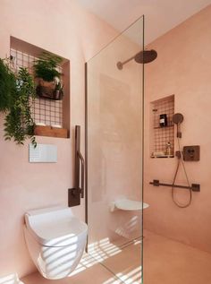 a bathroom with a toilet, shower and plants on the shelves in it's corner