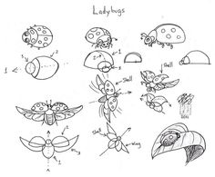 lady bugs and other insects are depicted in this drawing