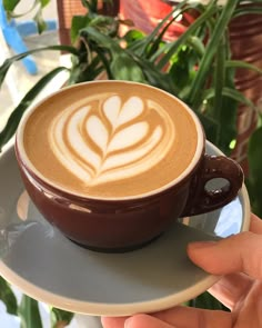 a cappuccino in a saucer with a leaf design on the foam