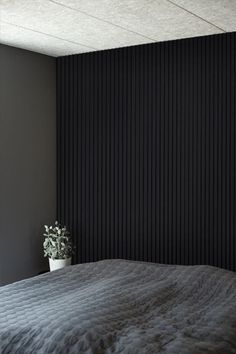 a bedroom with black walls and a plant in the corner