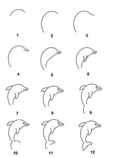 how to draw a dolphin step by step drawing for kids, easy drawings, animal drawings,