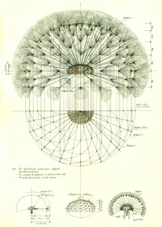 a drawing of an object with lines and circles on it's sides, including the center section