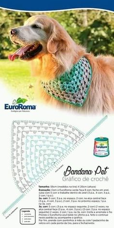 a dog wearing a crochet bandana in front of a green grass field