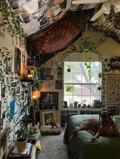 a dog laying on top of a bed in a room filled with pictures and plants