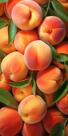 a pile of ripe peaches with green leaves