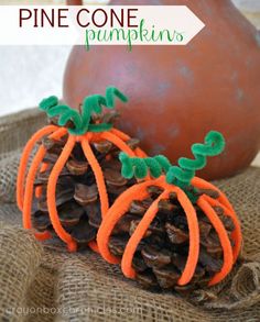 two pine cone pumpkins sitting on top of burlocks