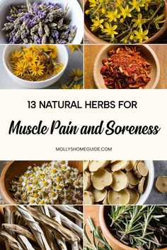 the top ten natural herbs for muscle pain and sores, including rosemary, chamomi