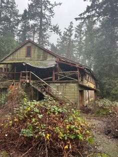 an old house in the woods on a foggy day with stairs leading up to it