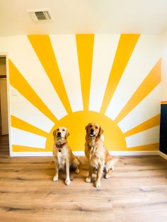 two dogs are sitting on the floor in front of a sun painted wall behind them