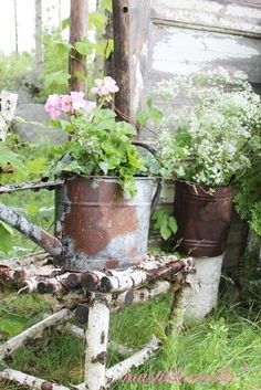 an old chair is filled with potted plants