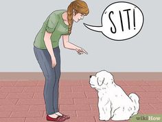 a woman standing next to a white dog with a speech bubble above her head that says sit