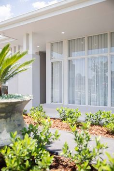 there is a potted plant in front of the house with windows on both sides