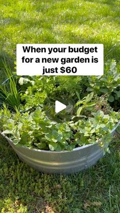 a metal bowl filled with green plants on top of a grass covered field next to a sign