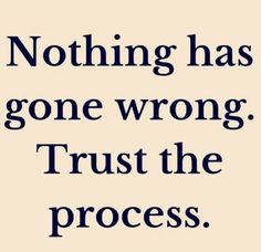 a quote that says nothing has gone wrong, trust the process with an image of a man