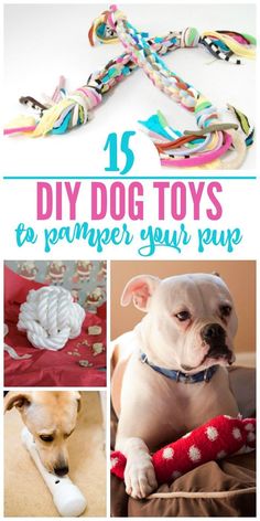 diy dog toys to pamper your pup for the first time in their life