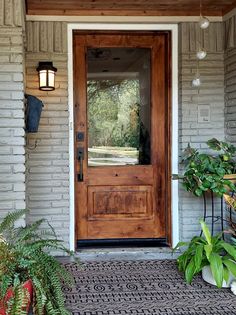 a front door with potted plants on the side and a light hanging above it