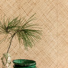 a small pine tree in a green vase on a tablecloth with other items around it