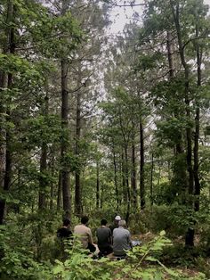 three people sitting in the middle of a forest looking up at tall trees and foliage