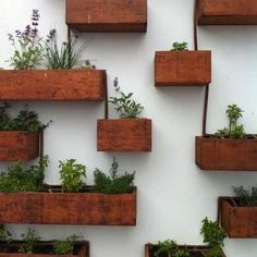 a group of wooden planters with plants in them on a white wall above the words pinterest com