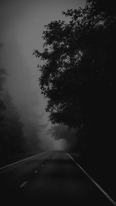 an empty road surrounded by trees in the middle of foggy night with no one on it