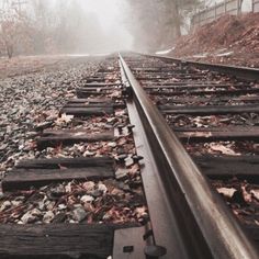 an old train track in the woods on a foggy day with rocks and leaves