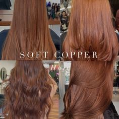 Copper Dye On Brown Hair, Shadow Root Auburn Hair, Hair Color For Neutral Warm Skin Tone, Warm Autumn Hair Color Palette, Spring Palette Hair Color, Old Money Auburn Hair, Going From Red To Brown Hair, Cinnamon Hair Highlights, Autumn 2024 Hair Colour