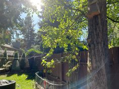 the sun shines brightly through the trees in this back yard, where there is a birdhouse