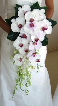 a bride holding a bouquet of white orchids