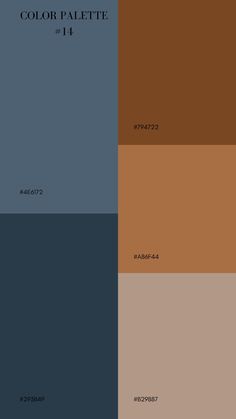 the color palette is brown and blue