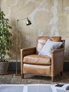 a brown leather chair sitting next to a potted plant on top of a wooden floor