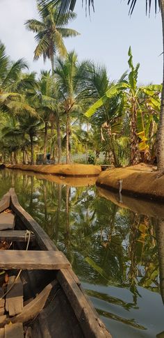 there is a small boat on the water in the middle of palm trees and other vegetation