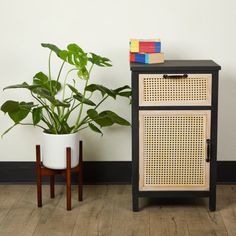 a wooden cabinet sitting next to a potted plant on top of a hard wood floor