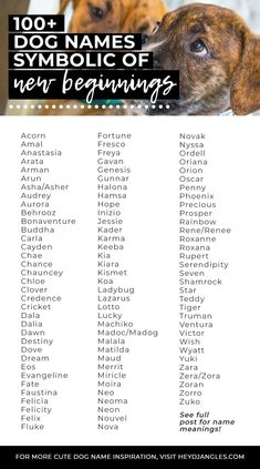 100Dog Names That Mean New Beginningdog names symbolic of new beginningsdog name ideaspuppy name inspiration lucky dognames newbeginnings Japanese Dog Names, Most Popular Dog Names, Popular Dog Names, Puppy Tips, Rabbit Names