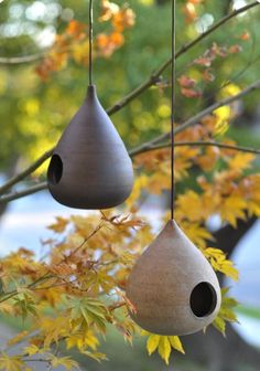 two bird houses hanging from a tree branch