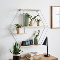 three shelves with plants and books on them