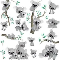 watercolor koalas and eucalyptus leaves on white background with new stickers for the package