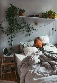 an unmade bed with plants on the wall above it